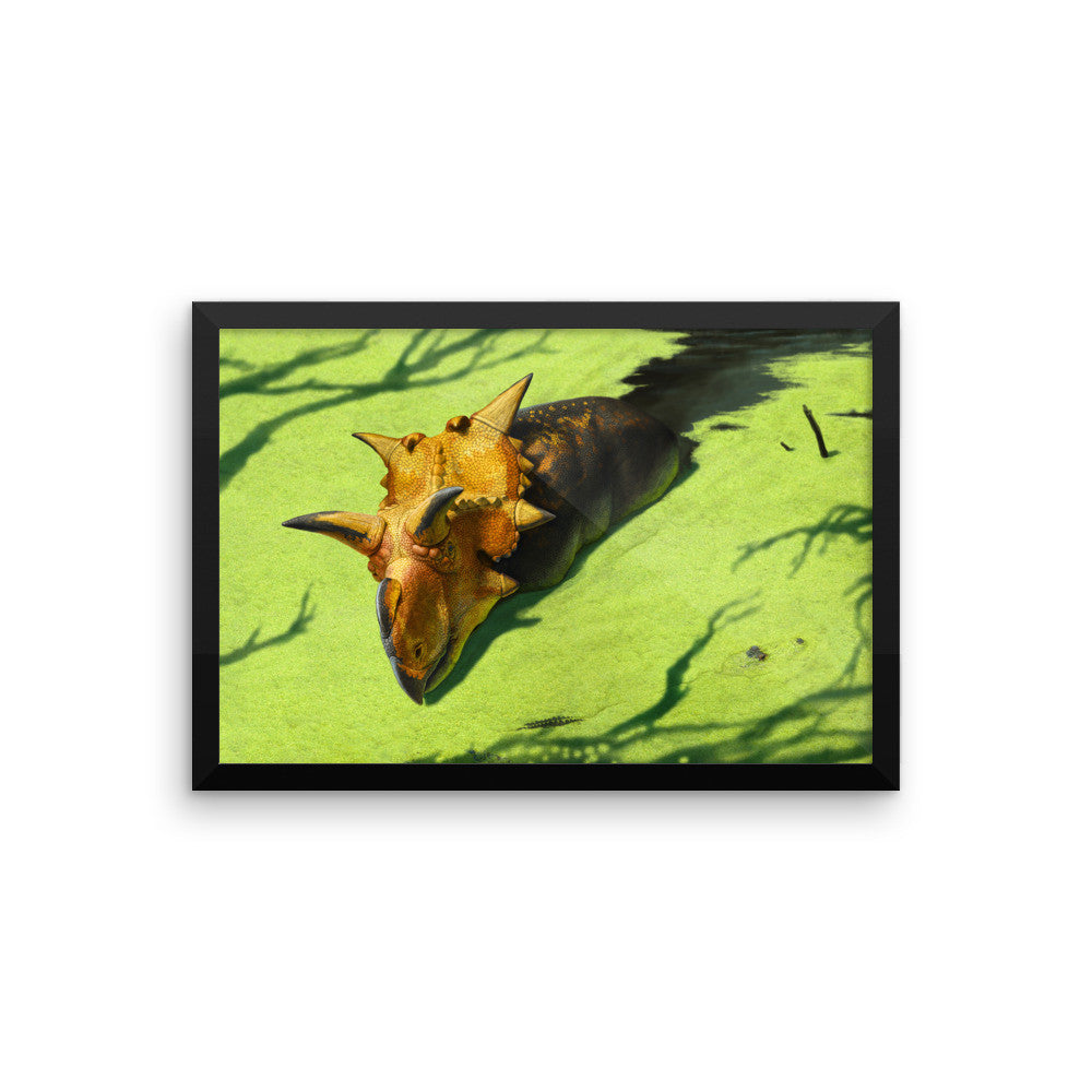 Xenoceratops framed print