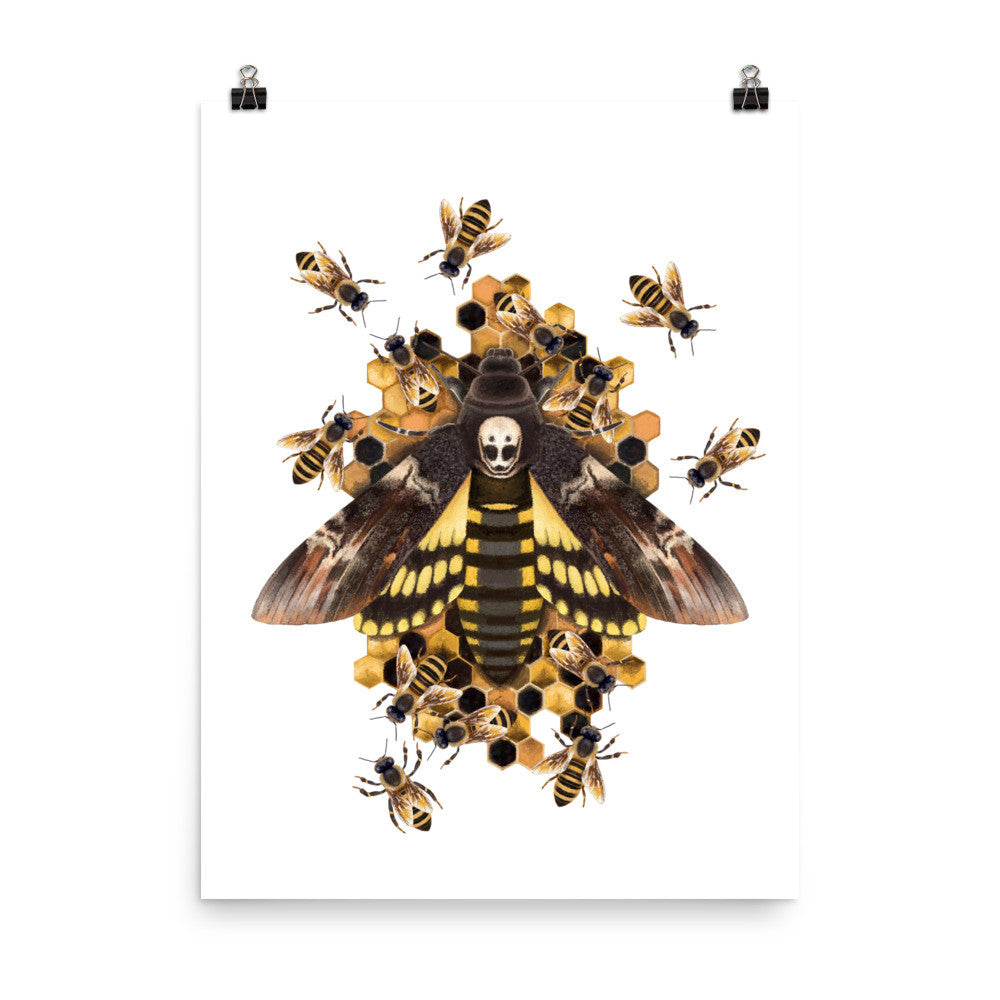 Death's head hawkmoth poster