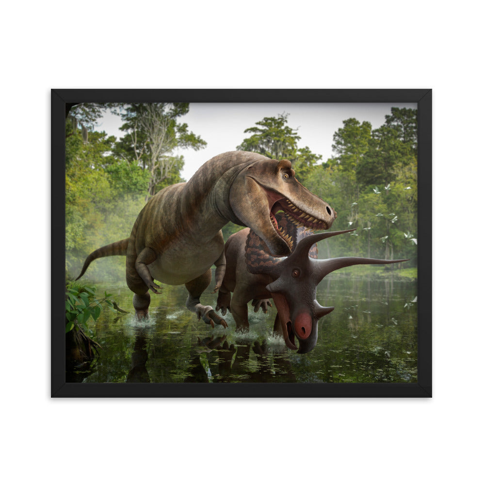 Triceratops vs Tyrannosaurus framed print