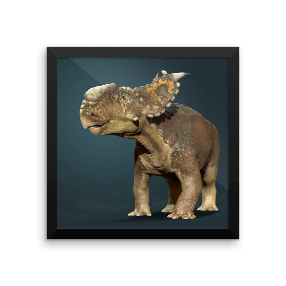 Pachyrhinosaurus framed print