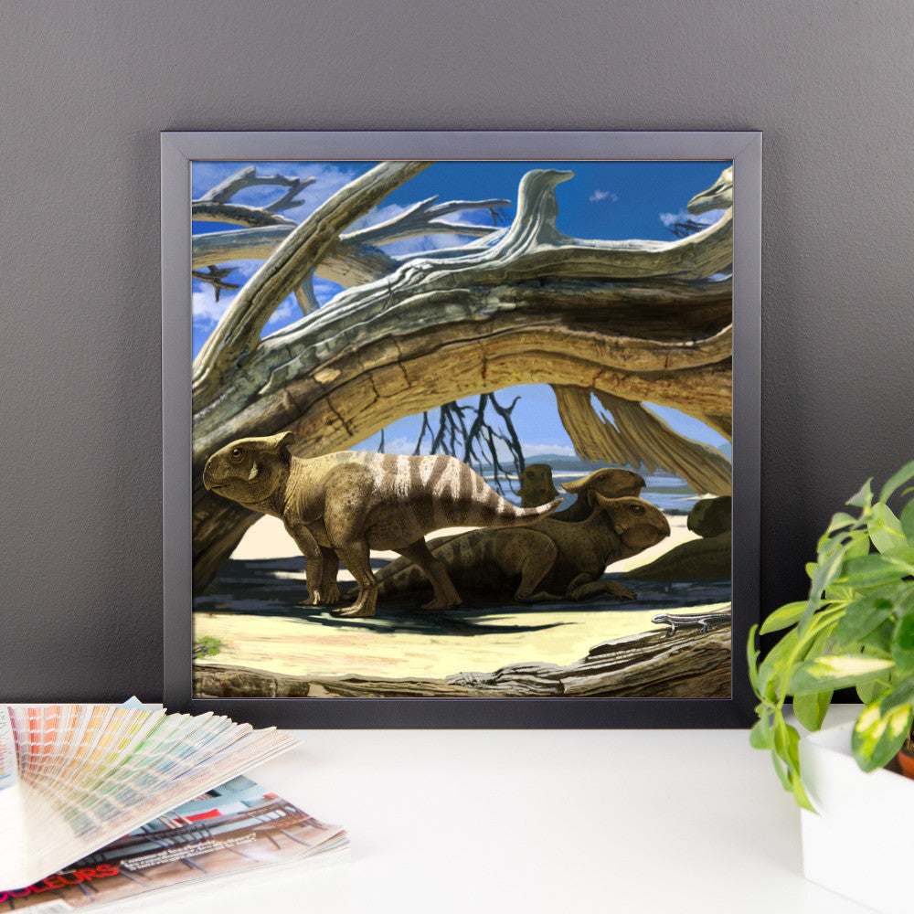 Protoceratops framed print