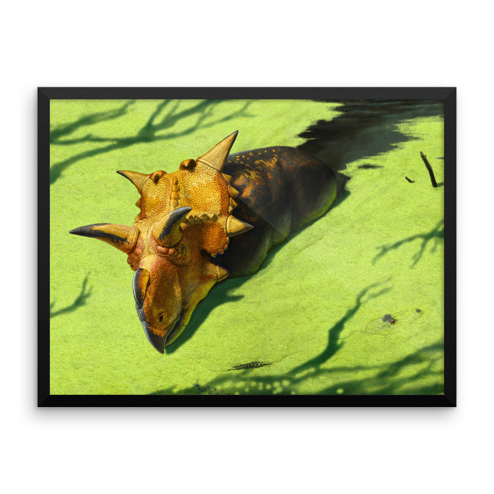 Xenoceratops framed print