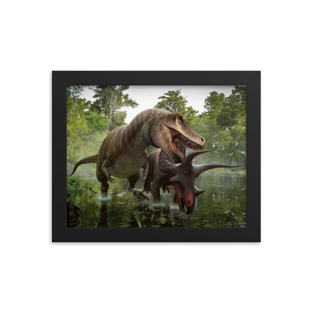 Triceratops vs Tyrannosaurus framed print