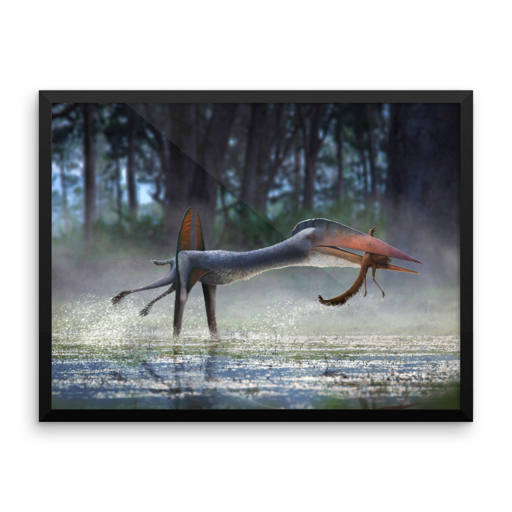 Hatzegopteryx framed print