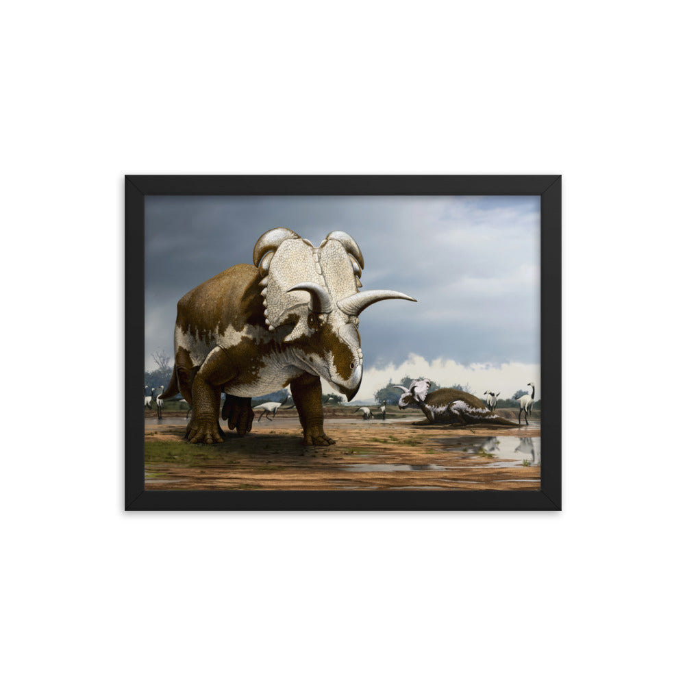 Medusaceratops framed print