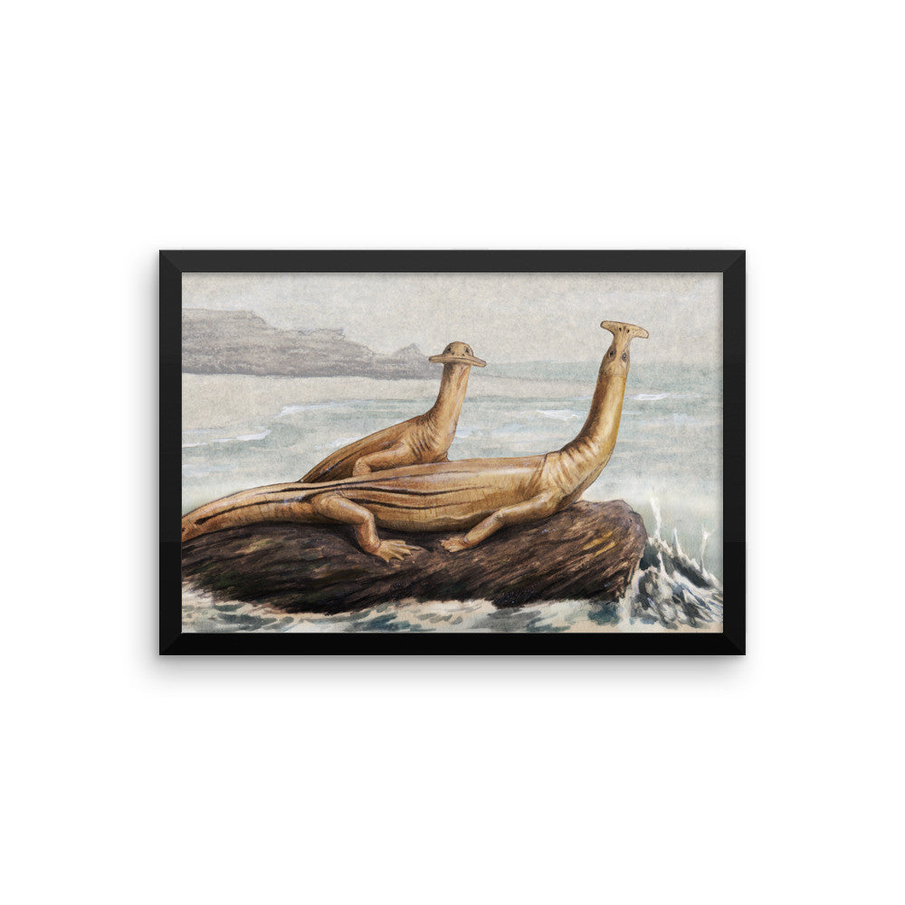 Atopodentatus framed print