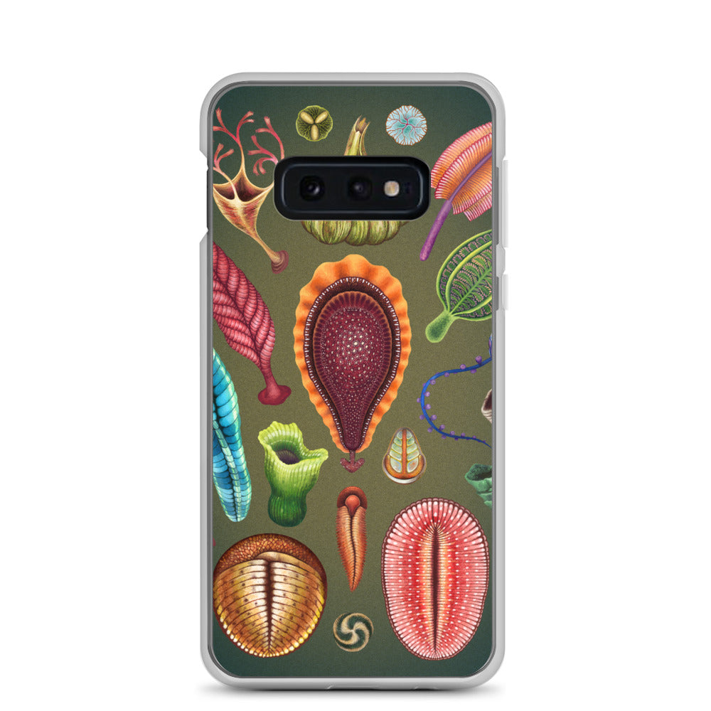 Ediacaran Samsung Case