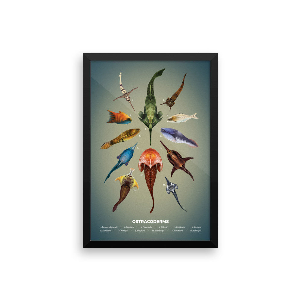 Jawless fishes framed print