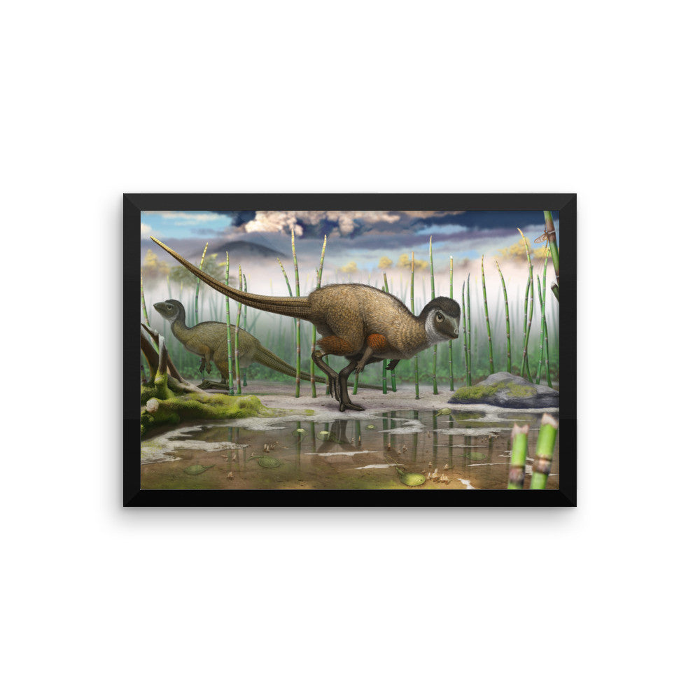 Kulindadromeus framed print