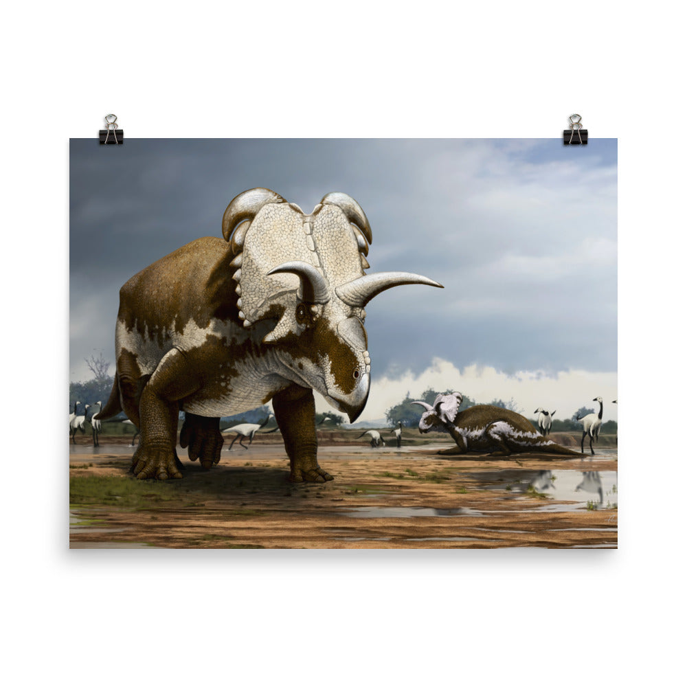 Medusaceratops poster