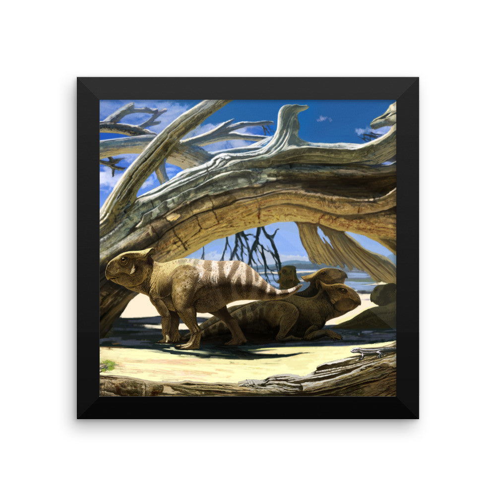 Protoceratops framed print