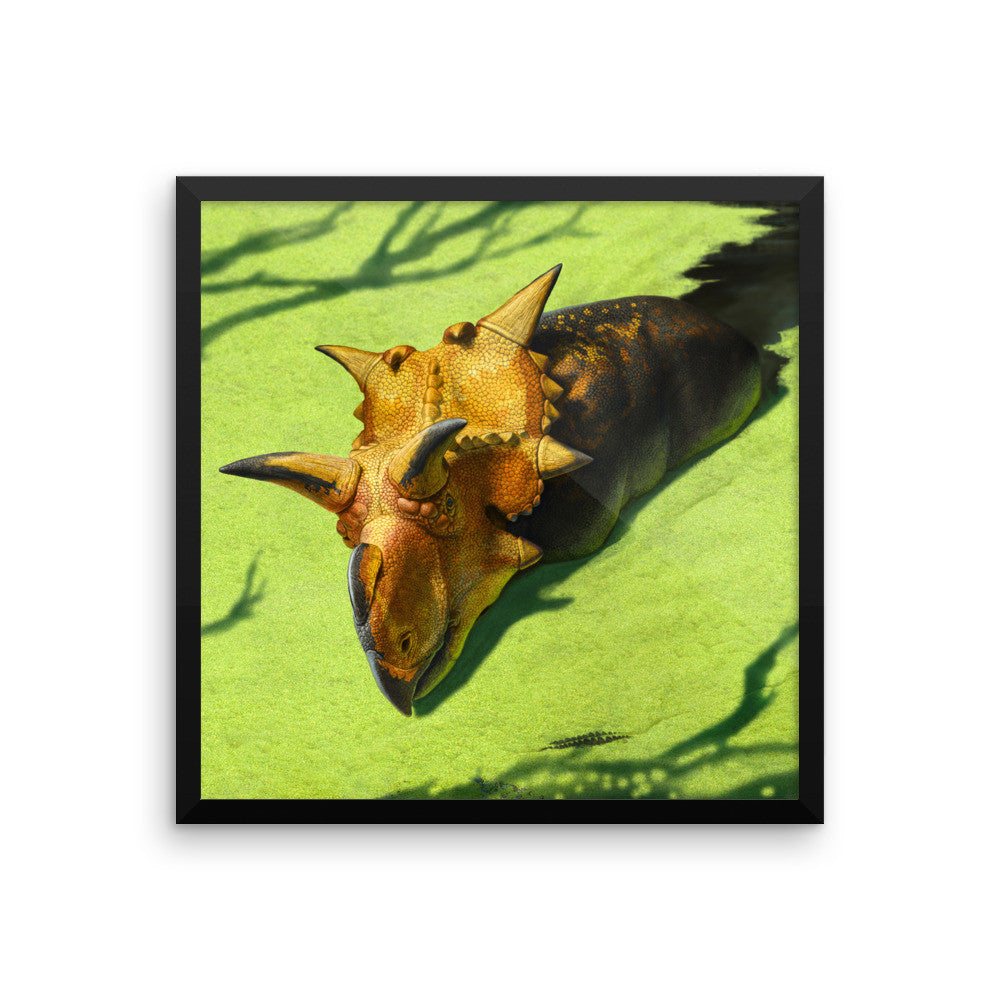 Xenoceratops framed print