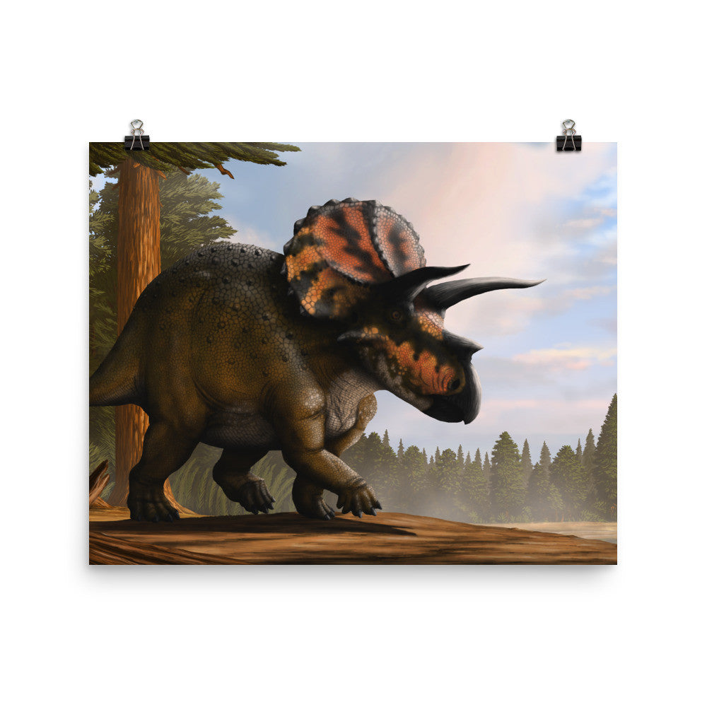 Triceratops poster