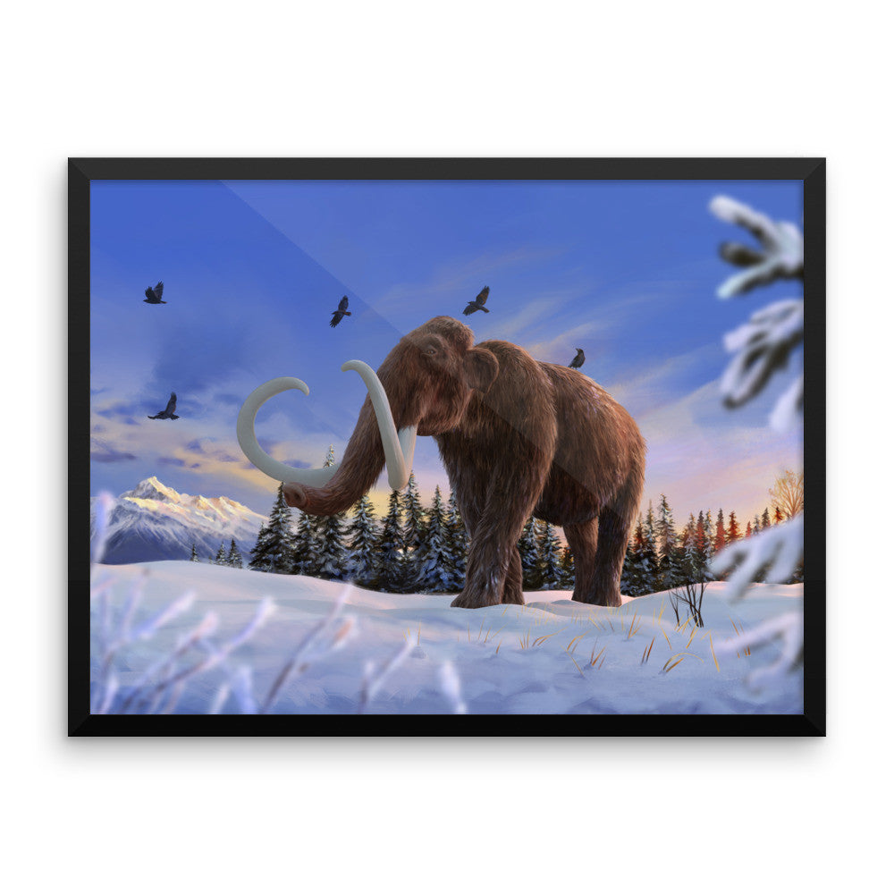 Woolly mammoth framed print