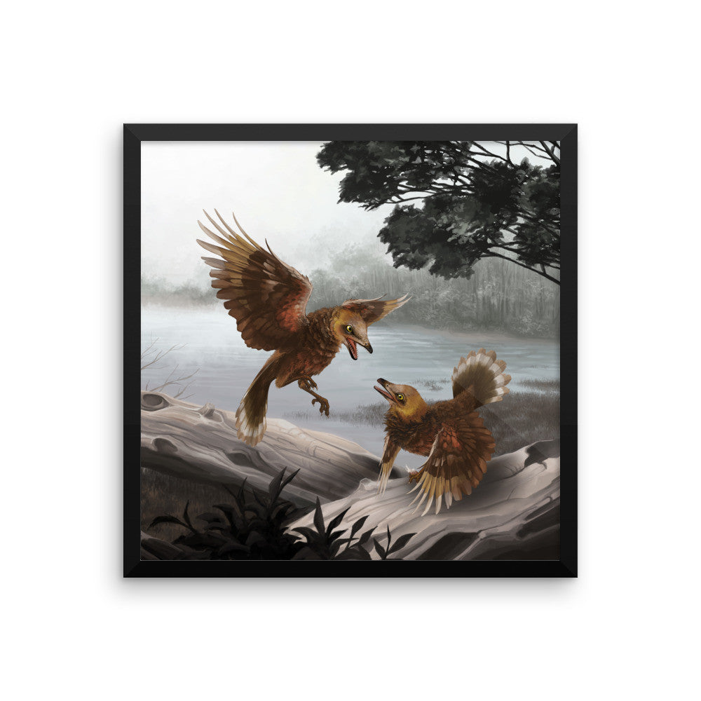 Iberomesornis framed print