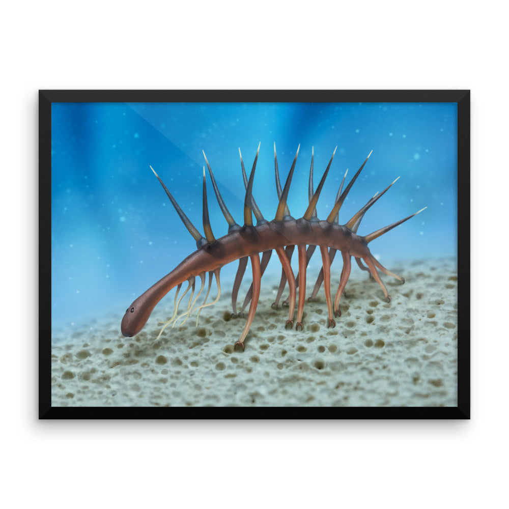 Hallucigenia framed print