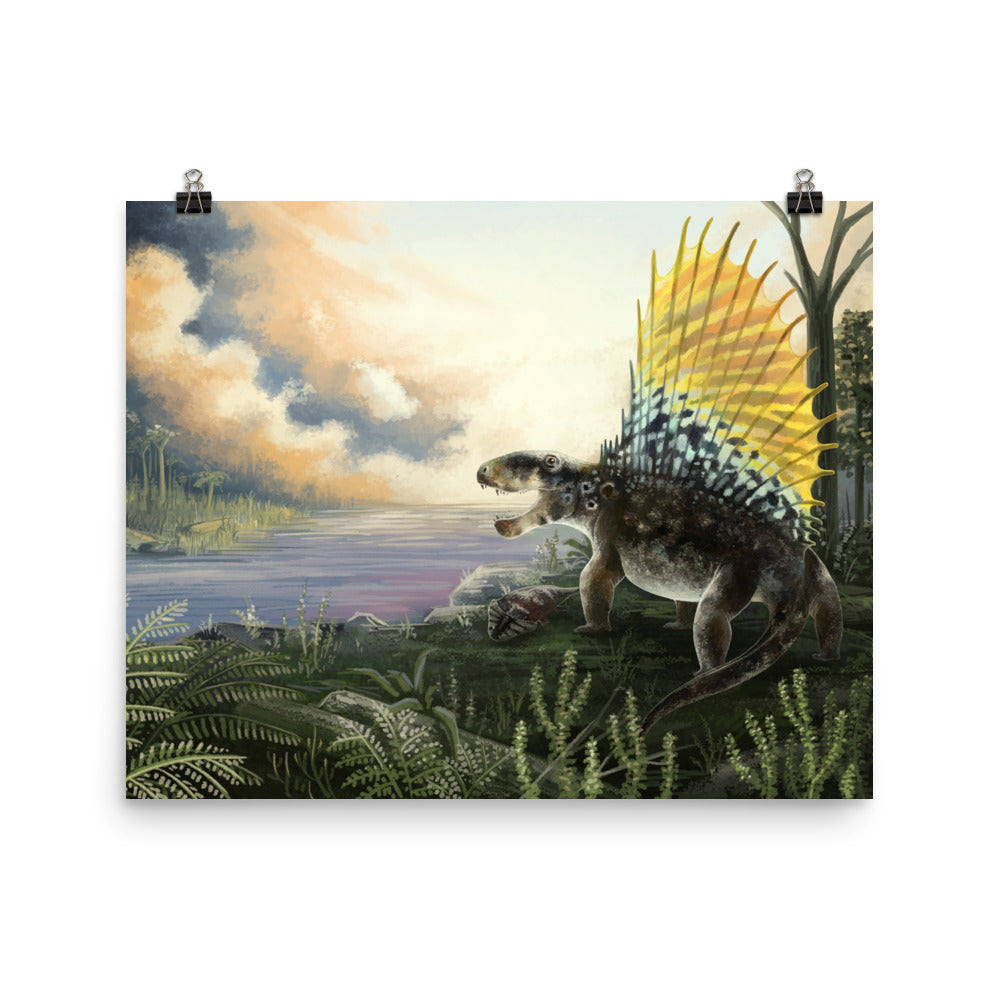 Dimetrodon poster