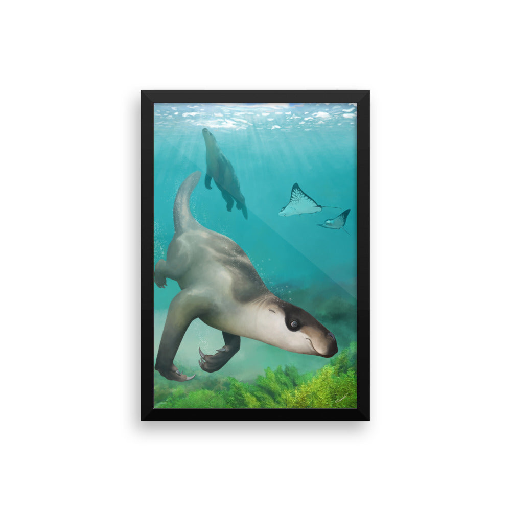 Thalassocnus framed print