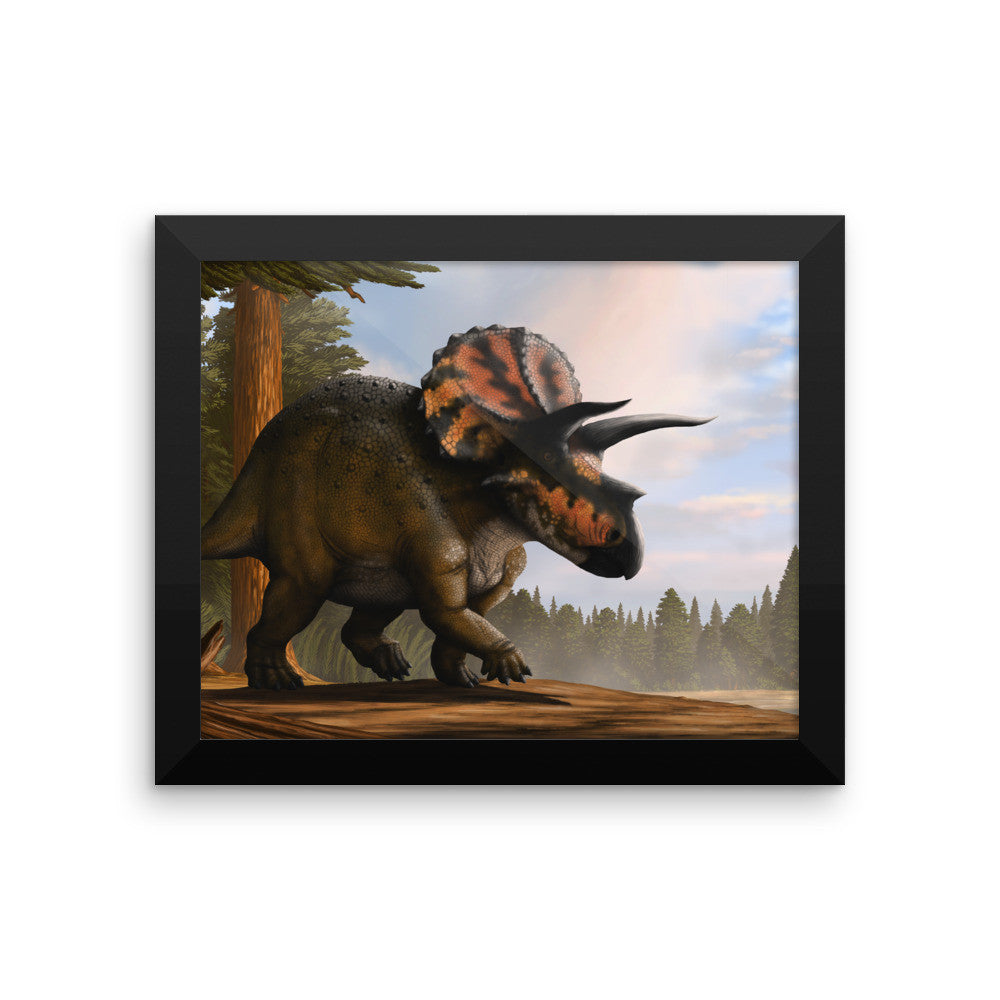 Triceratops framed print