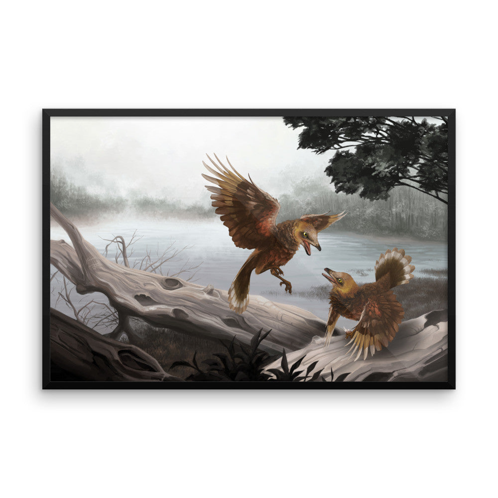 Iberomesornis framed print