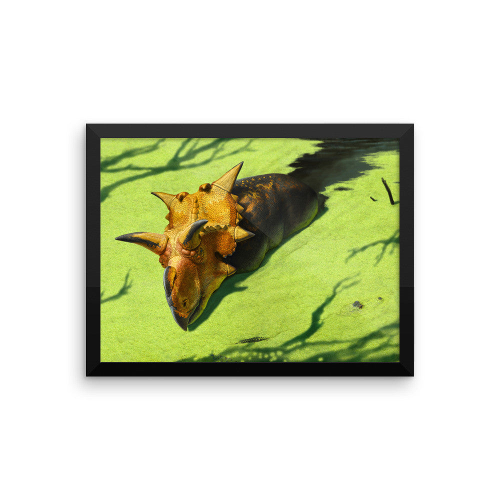 Xenoceratops framed print