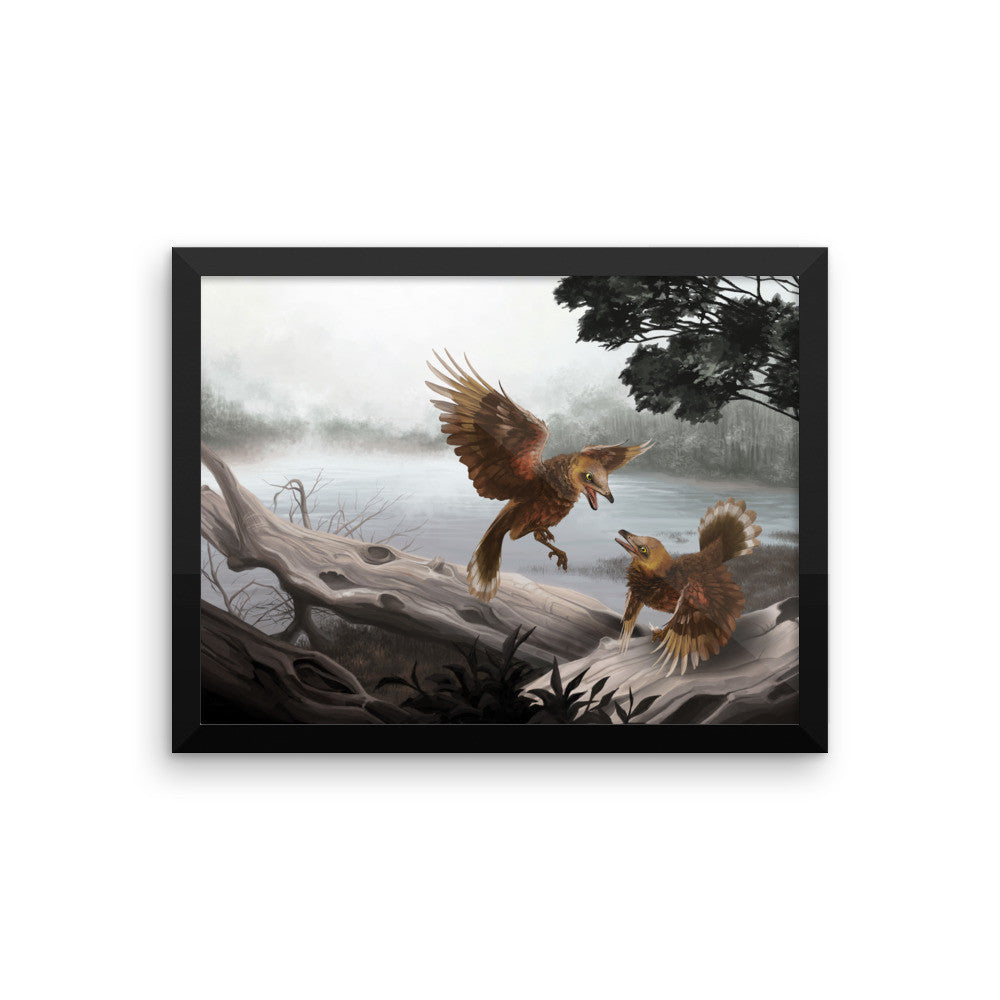 Iberomesornis framed print