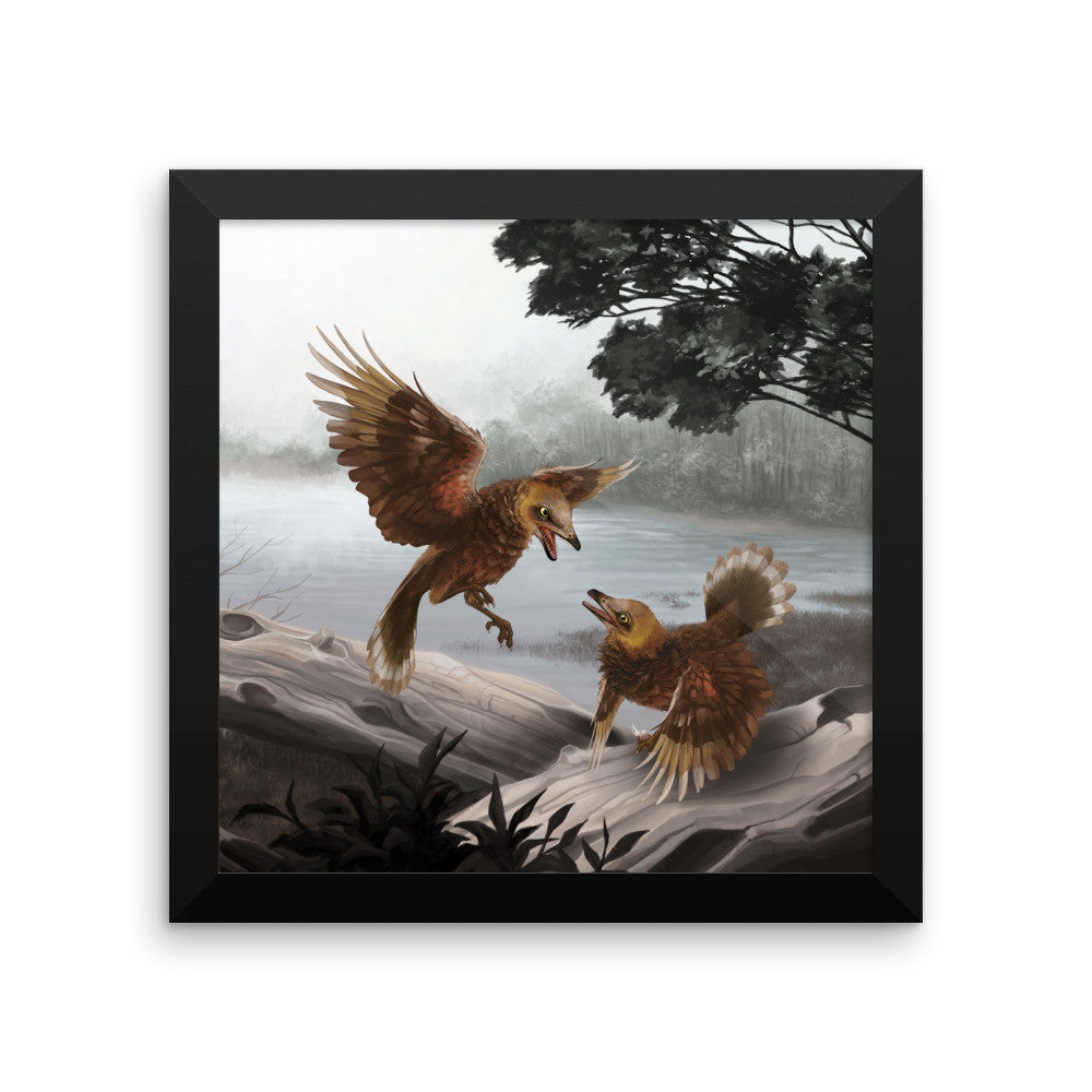 Iberomesornis framed print