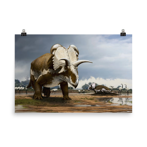 Medusaceratops poster