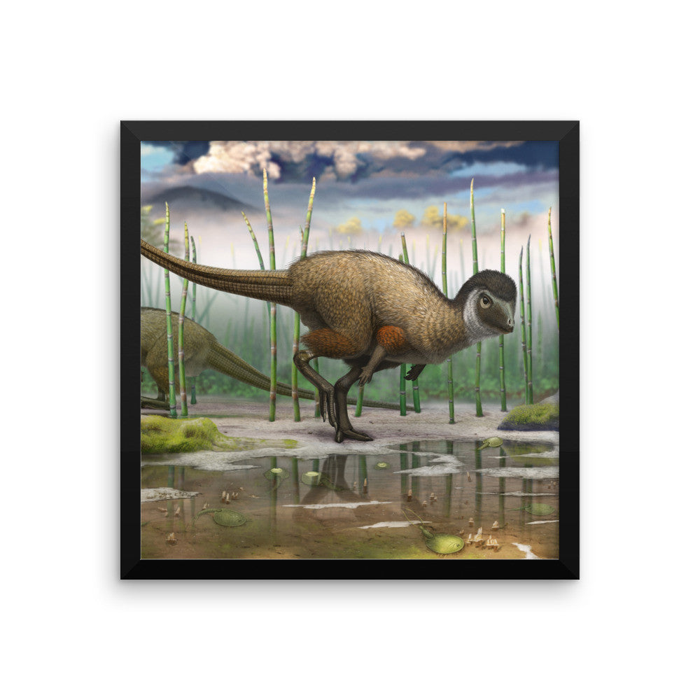 Kulindadromeus framed print