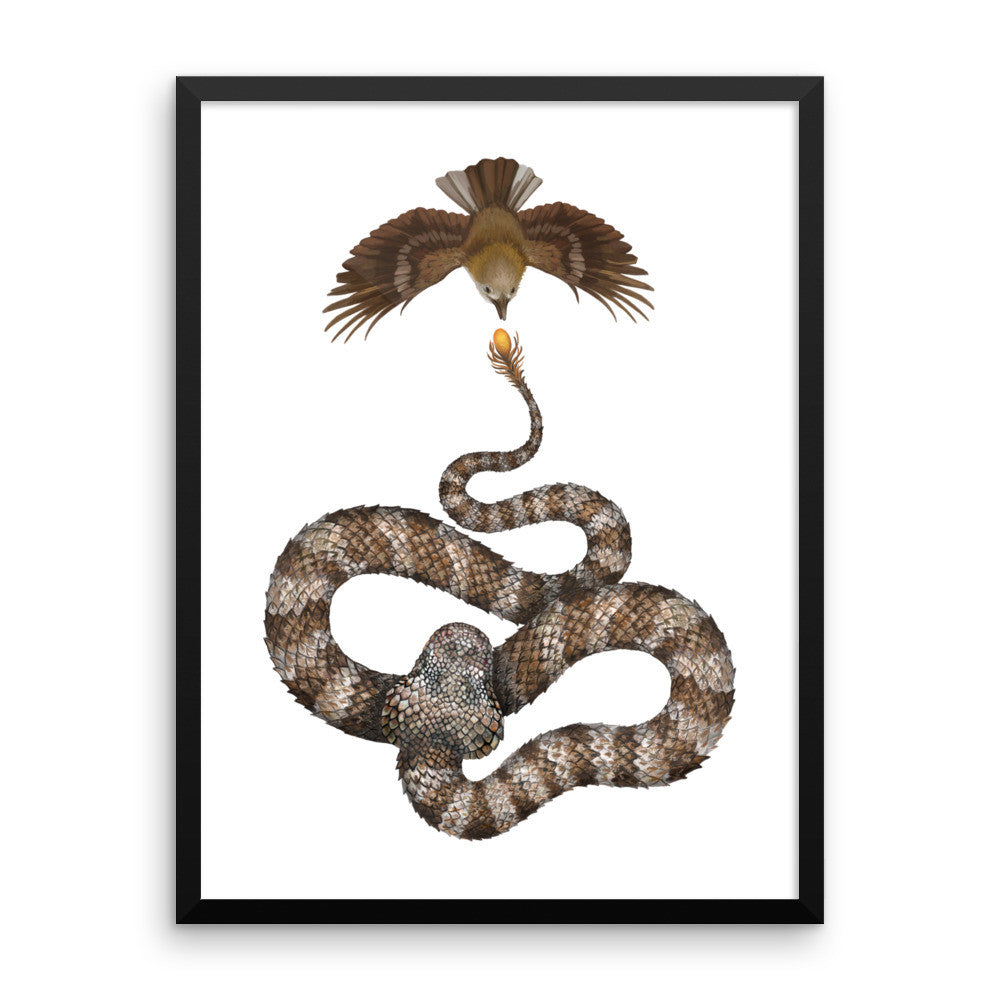 Spider-tailed horned viper framed print