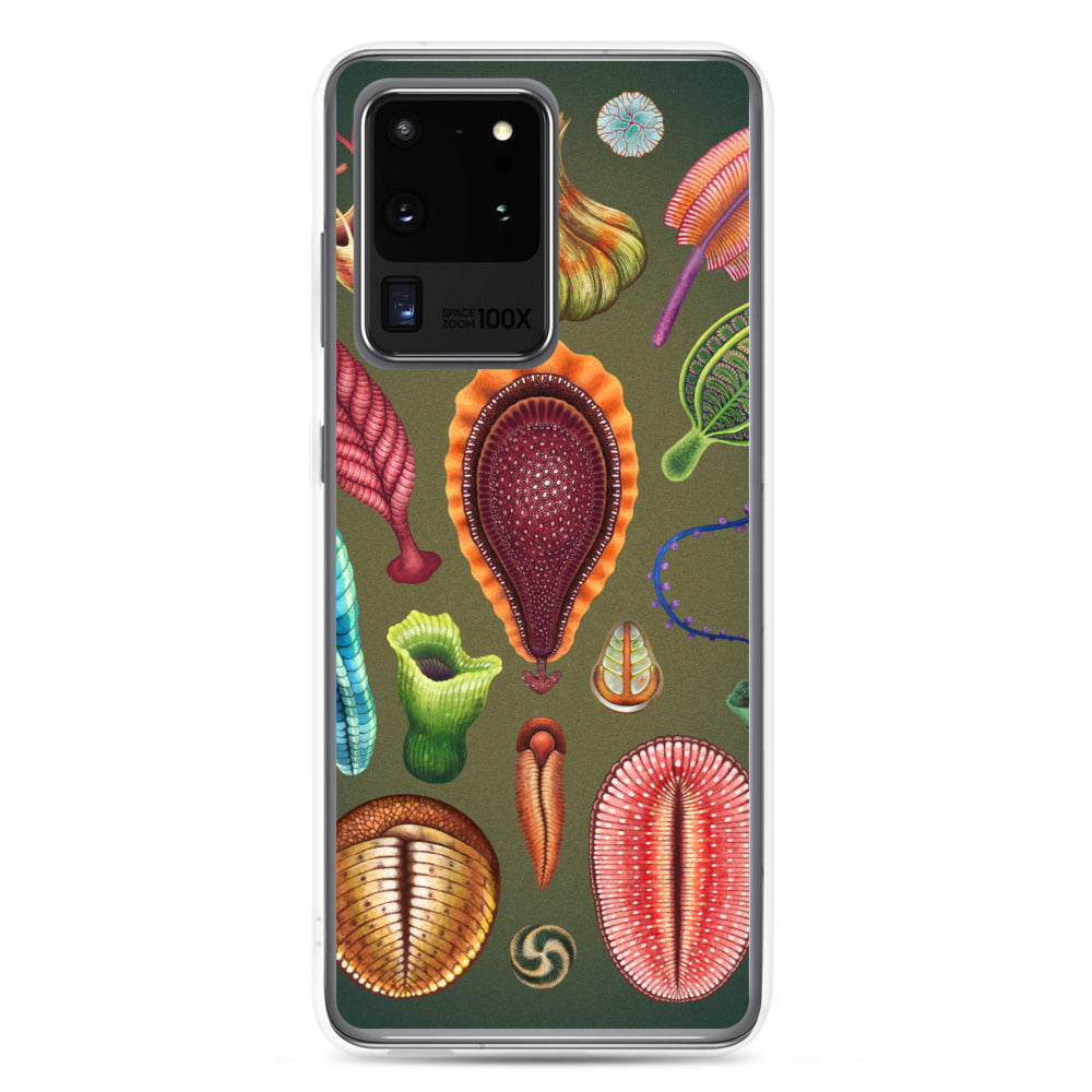 Ediacaran Samsung Case