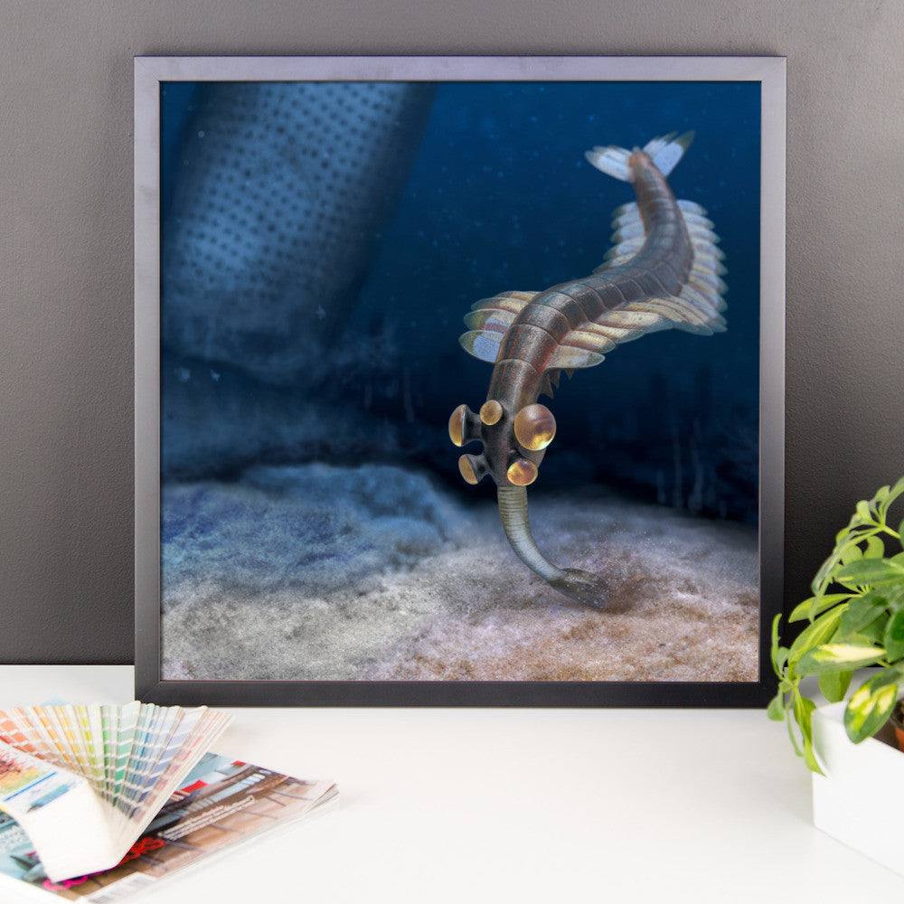 Opabinia framed print