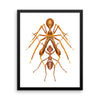 Antmimicking spider framed print