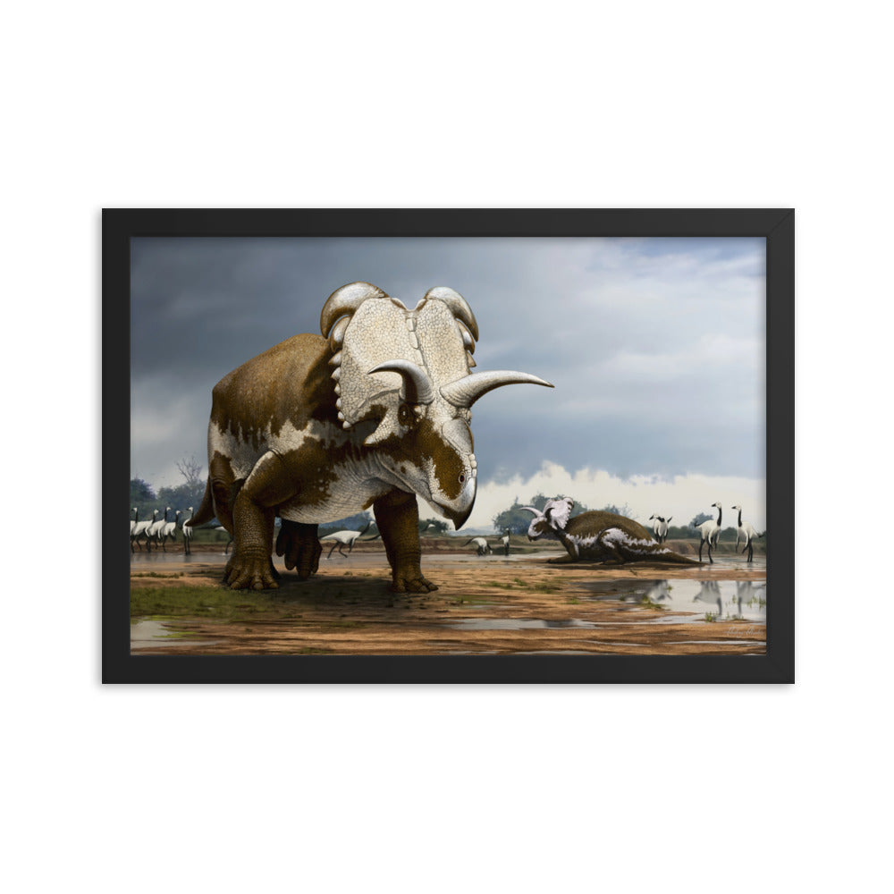 Medusaceratops framed print