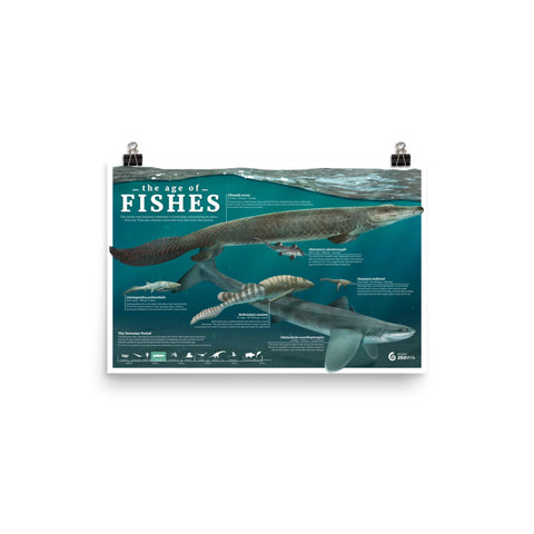 The Age of Fishes poster