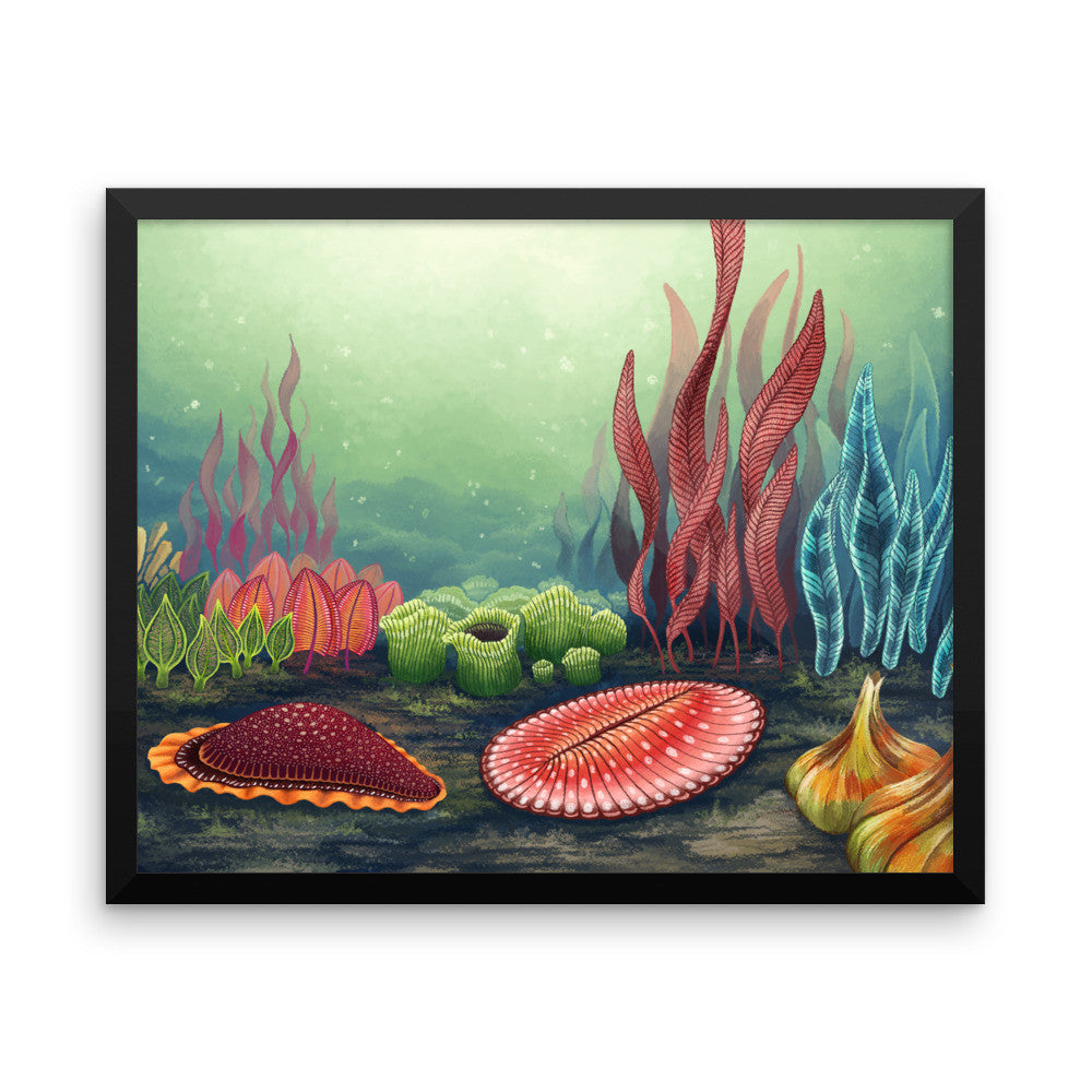 Garden of Ediacara framed print