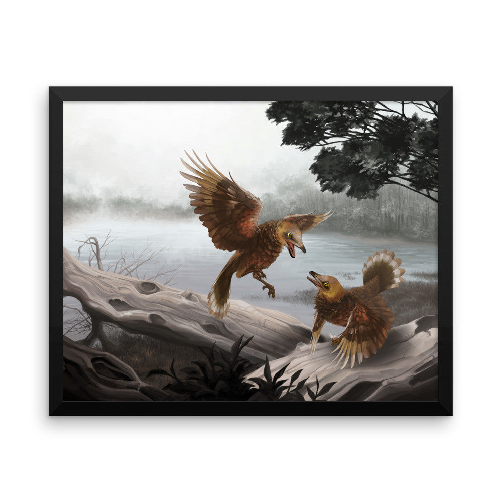 Iberomesornis framed print