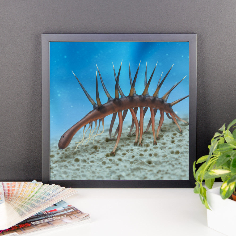 Hallucigenia framed print