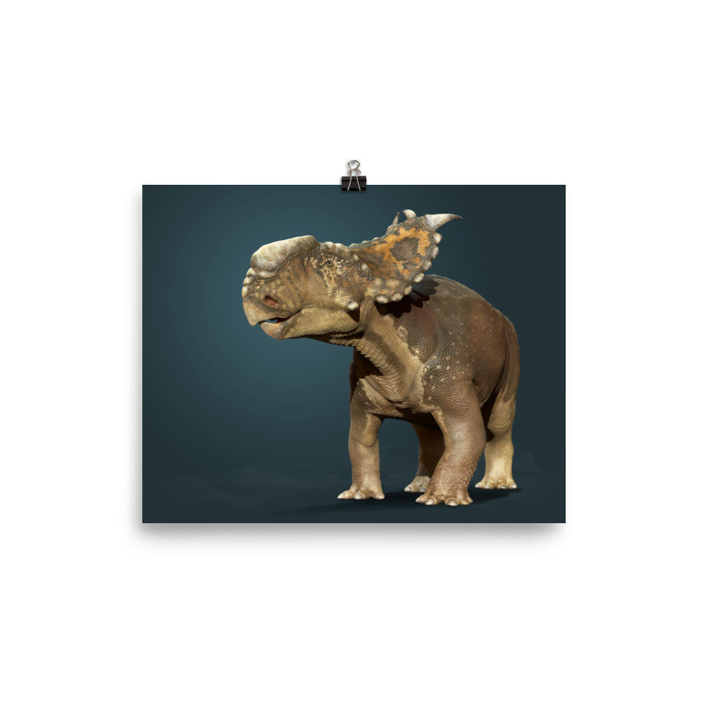 Pachyrhinosaurus poster