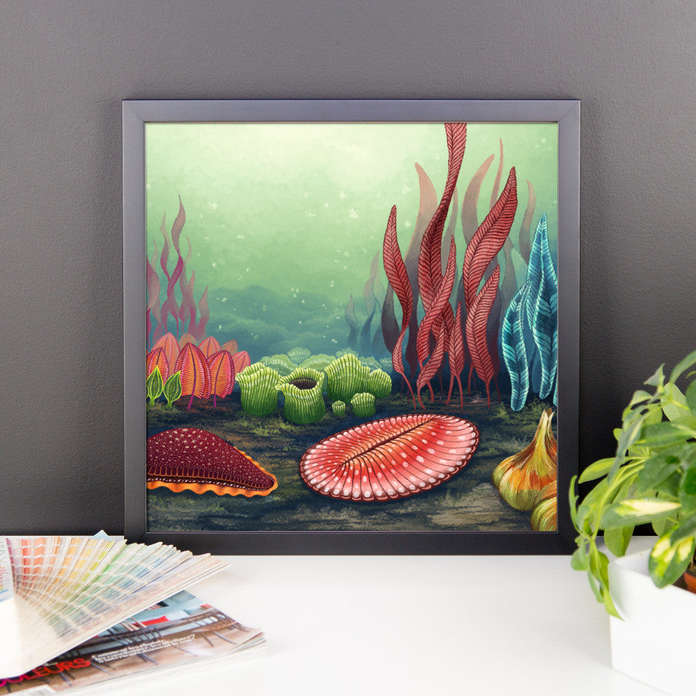 Garden of Ediacara framed print