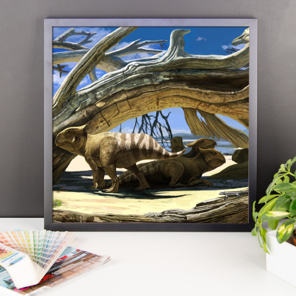 Protoceratops framed print