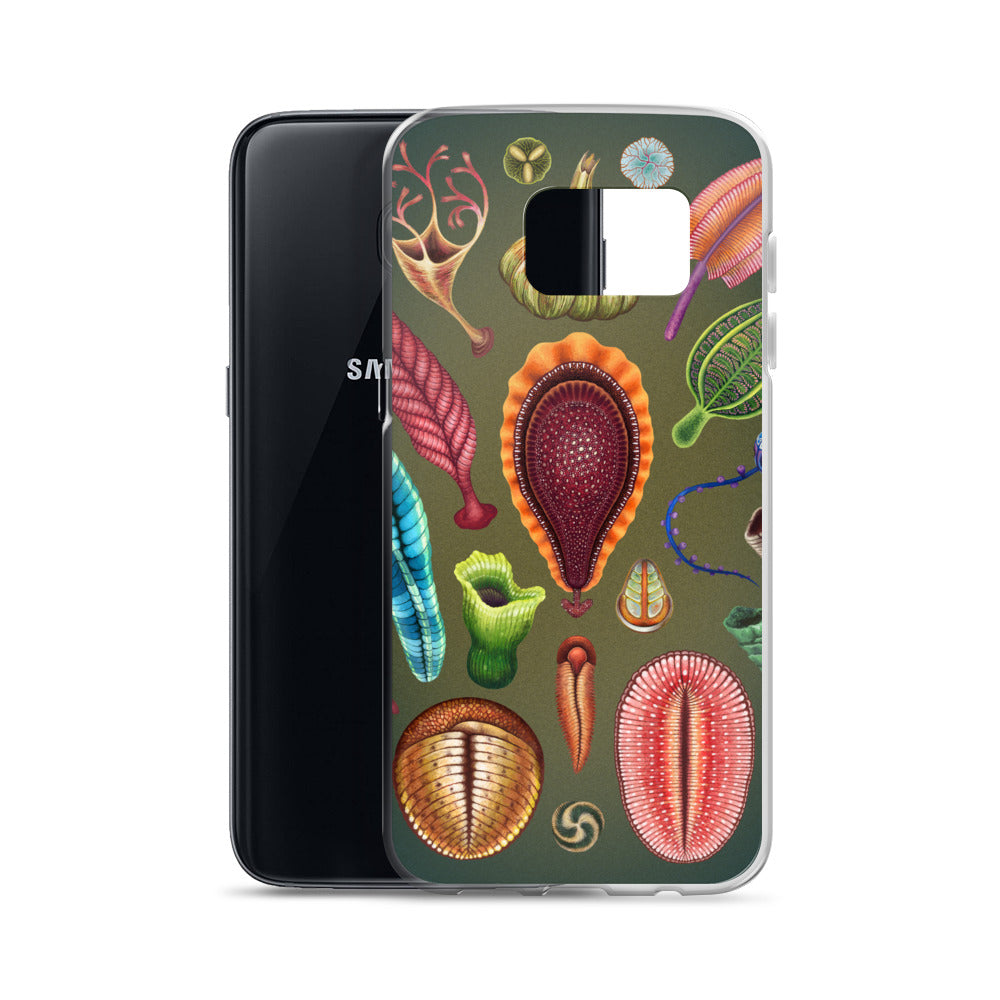 Ediacaran Samsung Case