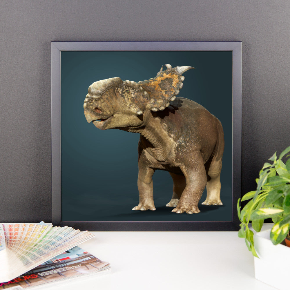 Pachyrhinosaurus framed print