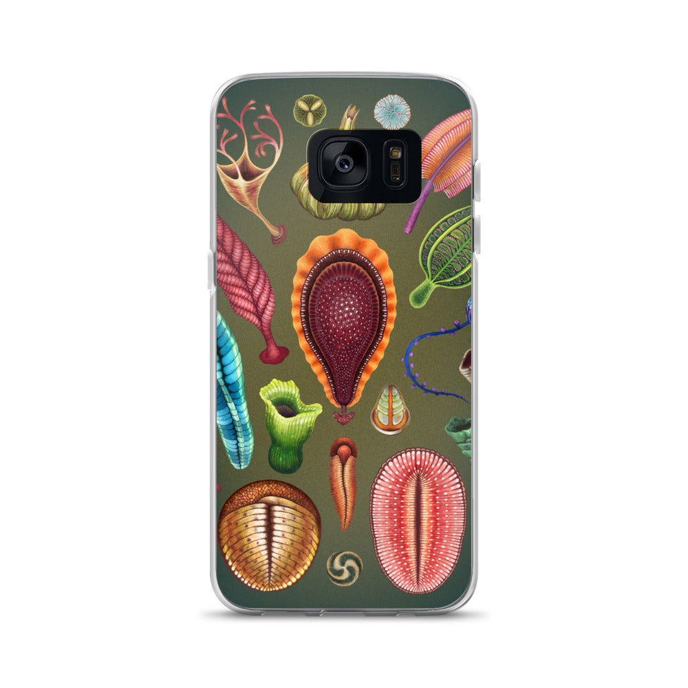 Ediacaran Samsung Case