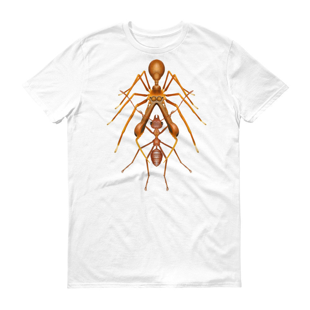 Antmimicking spider t-shirt