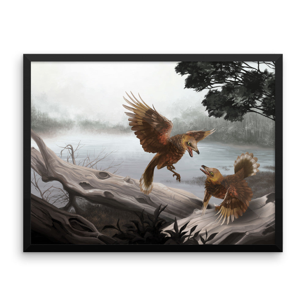 Iberomesornis framed print