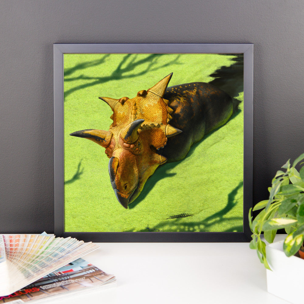 Xenoceratops framed print