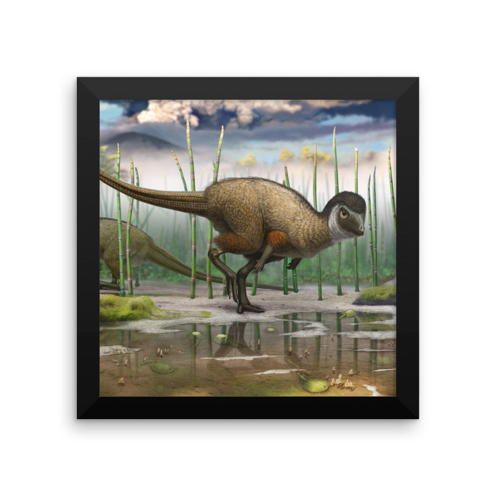 Kulindadromeus framed print