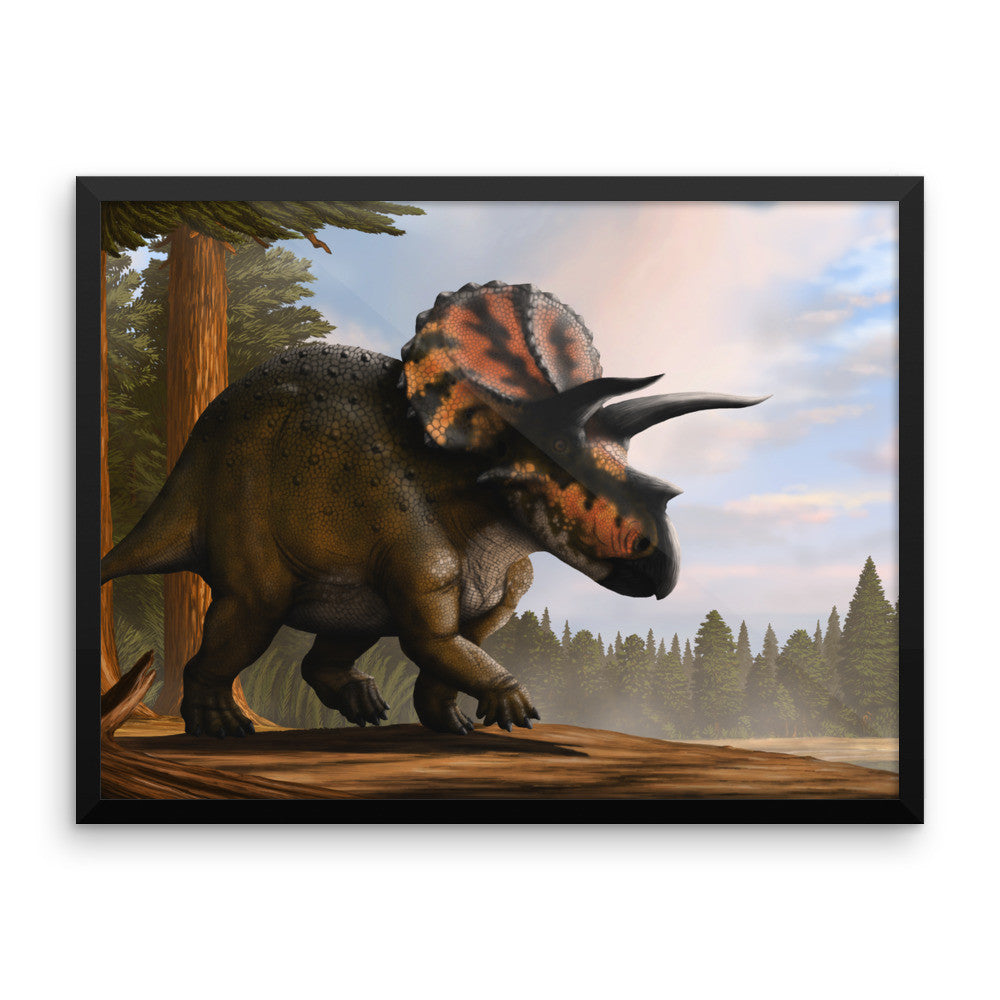 Triceratops framed print