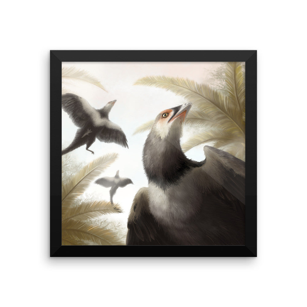 Archaeopteryx framed print